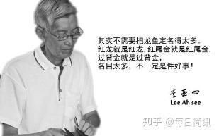 李亞四，《李亞四》聚焦于人物李亞四的生活軌跡與成長(zhǎng)歷程