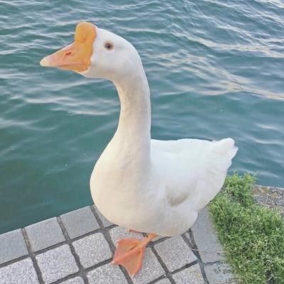 湛江水族館，湛江海洋主題公園
