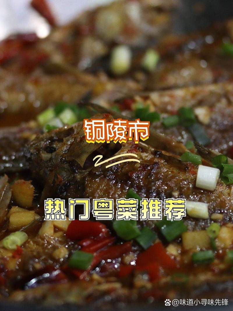 銅陵龍魚店，銅陵龍魚店——銅陵水族的標桿