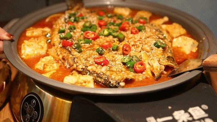 永壽龍魚店，永壽龍魚店哪家口碑最好