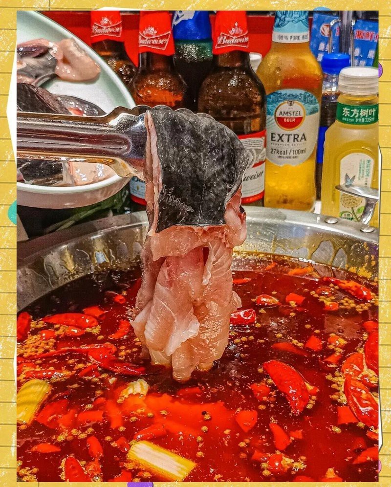 永壽龍魚店，永壽龍魚店哪家口碑最好