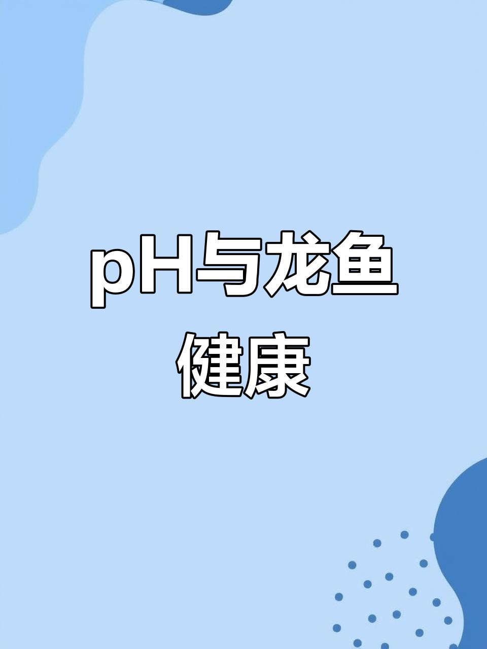 如何調整水質以減少龍魚打斗？，如何調整水質來減少龍魚之間的打斗行為
