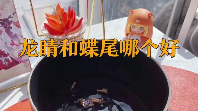如何挑選健康的龍睛和蝶尾金魚？，如何挑選健康的龍睛和蝶尾金魚