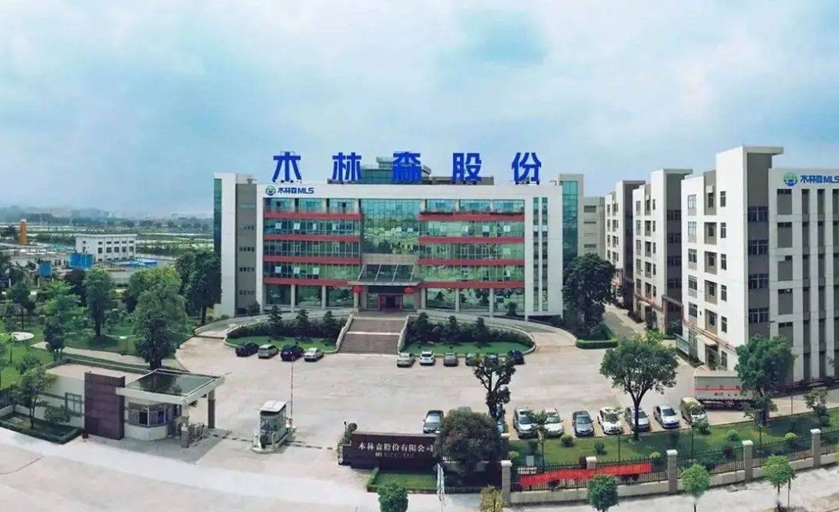木林森是上市公司嗎，木林森(廣東)健康科技有限公司