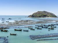 國聯水產2025目標價，國聯水產(300094)2025年目標股價預測