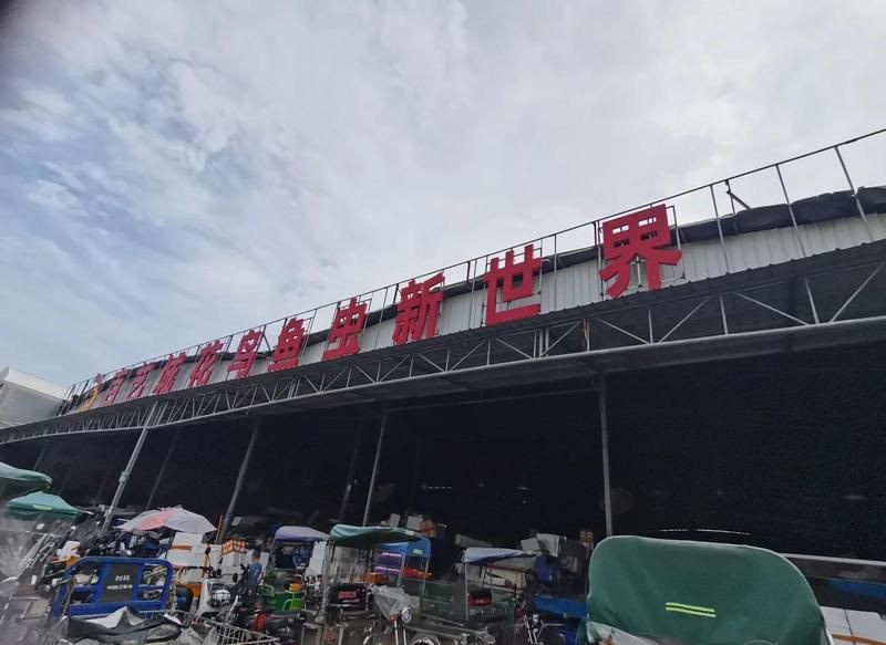 廣州水族批發市場，中國最大的水族市場，藏身廣州老城區20年，最終被落下帷幕