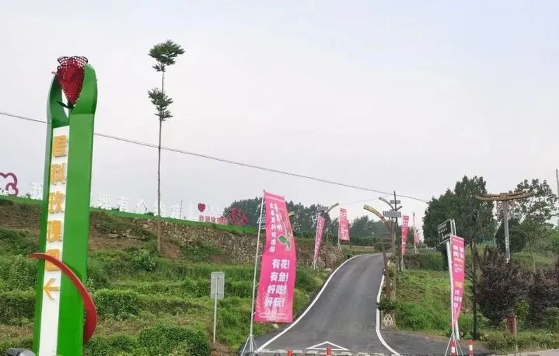 漢陰龍魚店，安康漢陰龍魚店一日游攻略漢陰縣有龍魚養殖場嗎