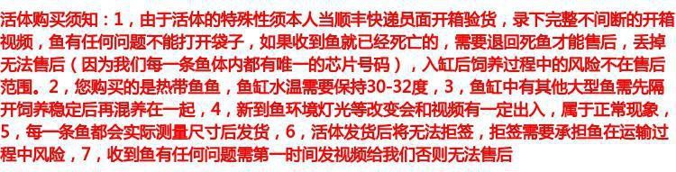 如何區(qū)分過背金龍和B級(jí)過背？，如何區(qū)分過背、b過、高背、必過與過背的區(qū)別是什么