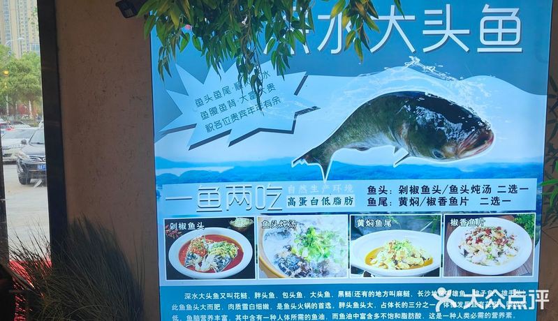 沅陵龍魚店，懷化沅陵龍魚店沅陵龍魚店的具體位置在哪里