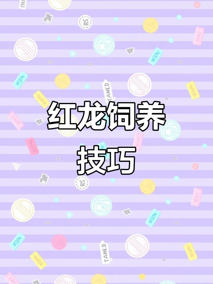 紅龍發(fā)色的最佳環(huán)境條件，紅龍魚發(fā)色受多種環(huán)境因素影響適宜的魚缸尺寸是基礎(chǔ)