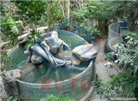 馬鞍山魚缸批發市場，馬鞍山魚缸批發市場有望持續擴大規模