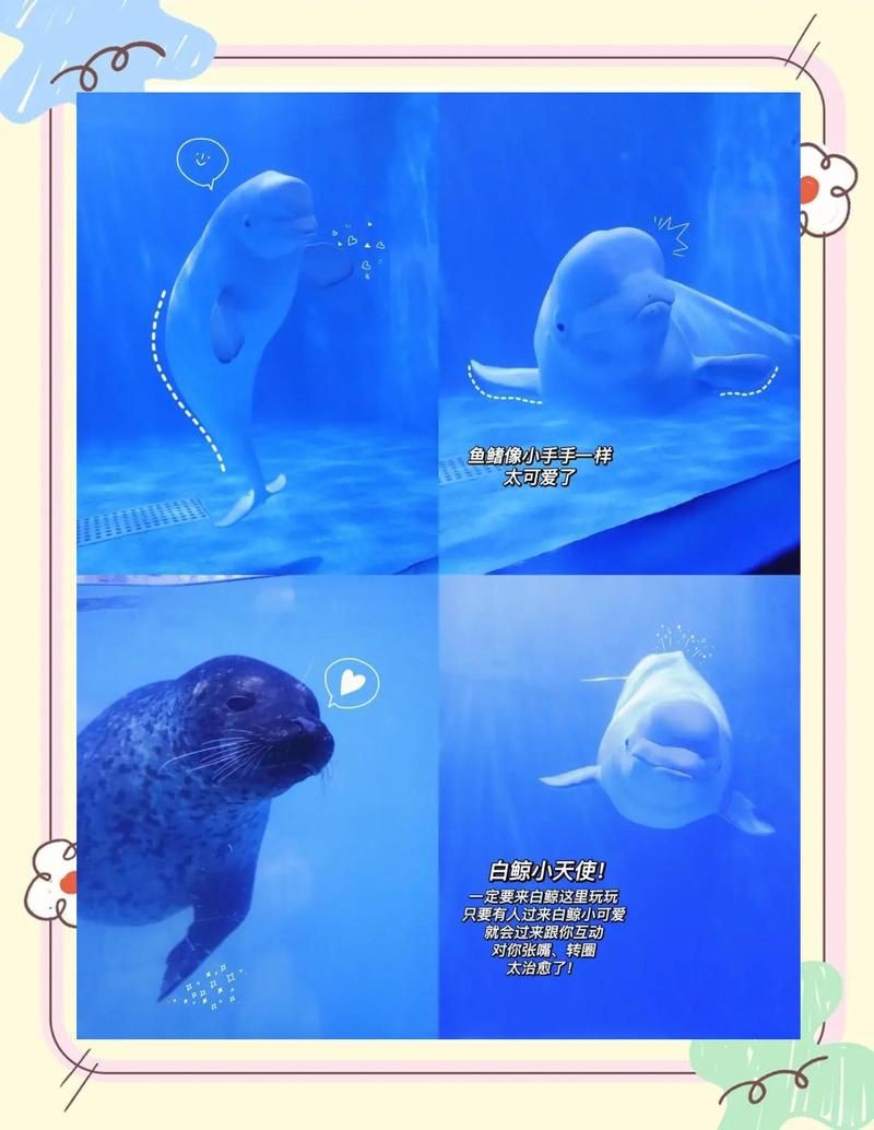 貴陽水族館，貴陽極地海洋世界深度游記：貴陽極地海洋世界—