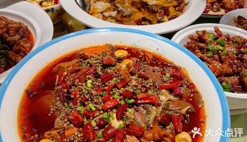 撫寧龍魚店，撫寧地區有賣龍魚的嗎