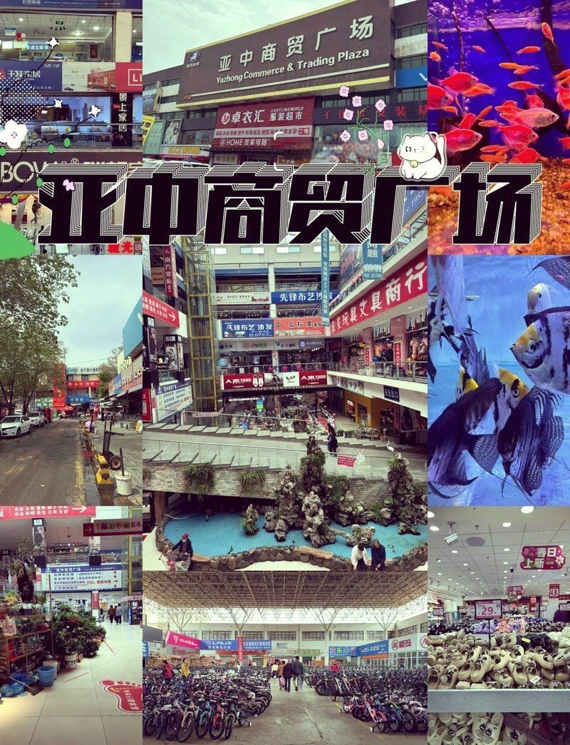 昌吉回族自治州水族批發市場，新疆昌吉回族自治州水族批發市場