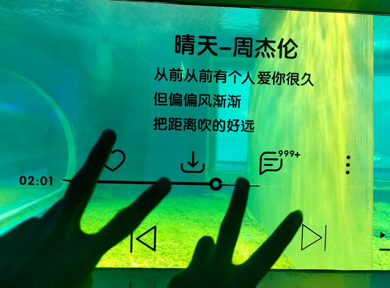 湘潭水族店，湘潭水族店湘潭海洋館哪個(gè)更受歡迎哪個(gè)更受歡迎