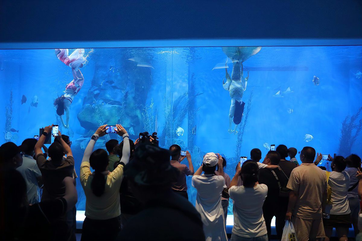 湘潭水族店，湘潭水族店湘潭海洋館哪個(gè)更受歡迎哪個(gè)更受歡迎