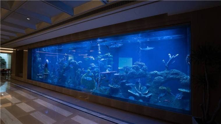 潮州魚缸定做，潮州魚缸定做服務展現出專業化與多樣化的特點