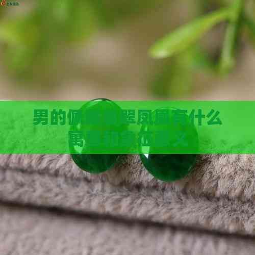 男戴鳳凰的寓意和象征，《男戴鳳凰的寓意和象征》