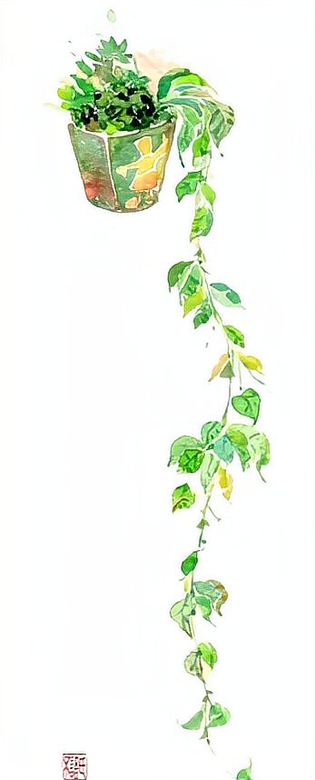 養三條魚最吉利，《道德經》\