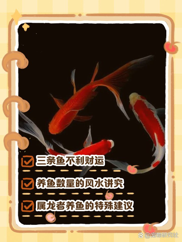 養三條魚最吉利，《道德經》\