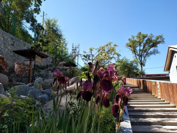 武山水族店，武山縣有哪些水族店