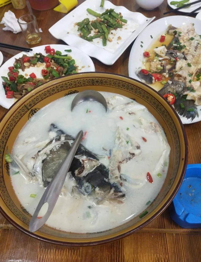 泰寧龍魚店，泰寧龍魚美食探秘
