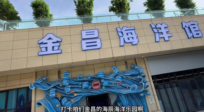 海城水族店，海城地區的水族店展現出多元化的經營特色，美在阿里水族館嗎