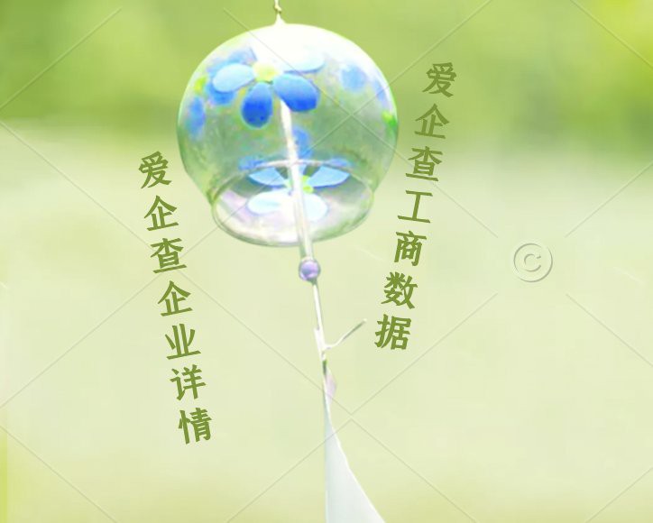 滁州龍魚店，滁州哪里有龍魚店