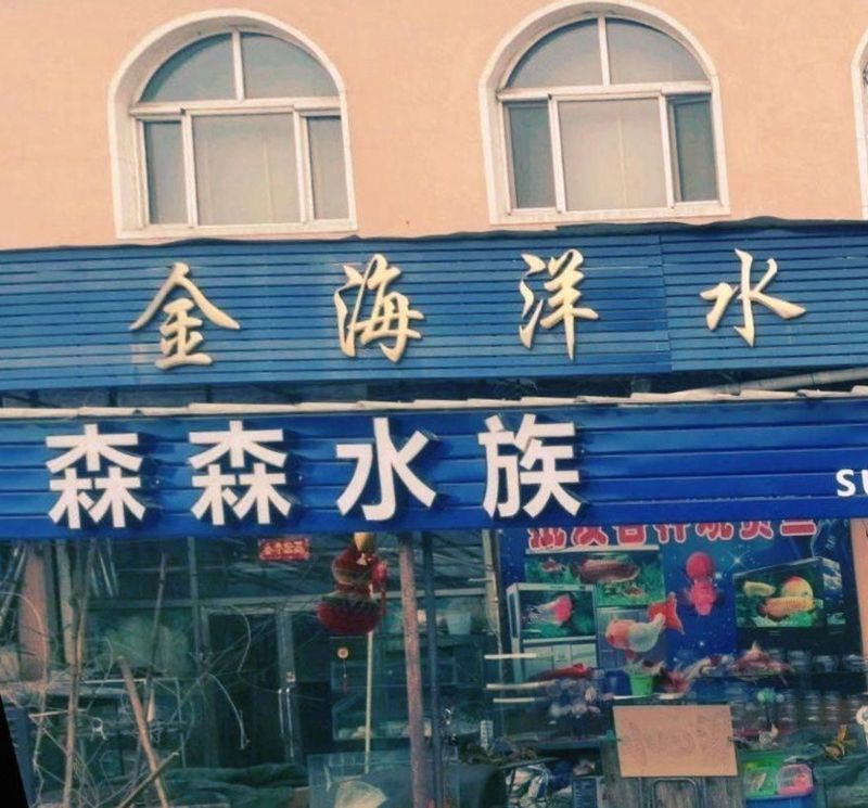 雞西水族批發市場，雞西市水族批發市場