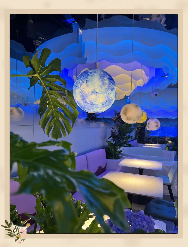 珠海龍魚(yú)店，珠海龍魚(yú)世家水族館