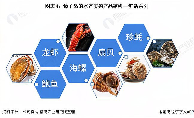 全國水族館企業名錄一覽表最新版2023，2023年全國水族館企業全景掃描