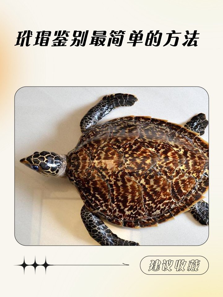 如何判斷龍頭魚飾品是否真假？，如何判斷龍頭魚飾品的真偽？