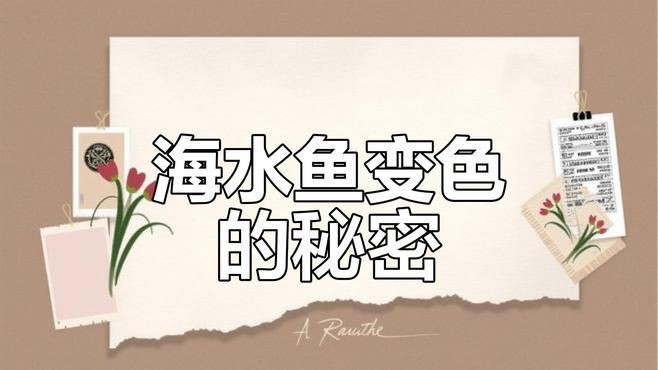 海水觀賞魚色彩特點(diǎn)，《海水觀賞魚色彩特點(diǎn)》海水觀賞魚以其絢麗多彩的體色聞名于世