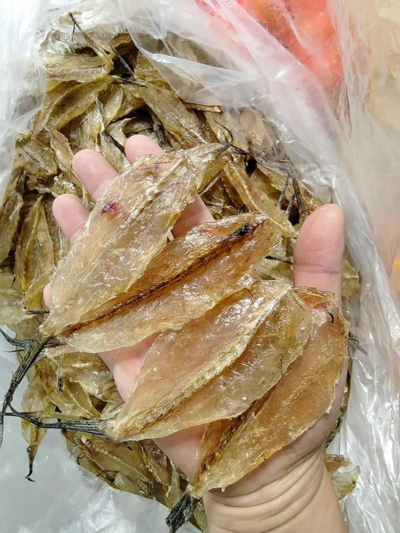 柳丁魚(yú)圖片大全，“柳丁魚(yú)圖片大全”聚焦于展示各類(lèi)柳丁魚(yú)的視覺(jué)影像資料