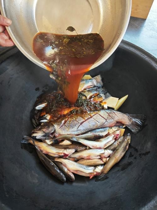 柳丁魚(yú)圖片大全，“柳丁魚(yú)圖片大全”聚焦于展示各類(lèi)柳丁魚(yú)的視覺(jué)影像資料
