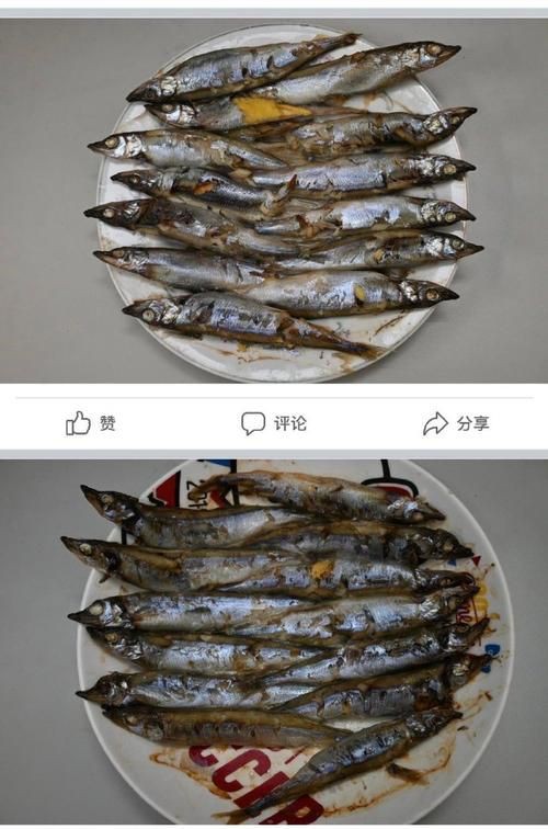 柳丁魚(yú)圖片大全，“柳丁魚(yú)圖片大全”聚焦于展示各類(lèi)柳丁魚(yú)的視覺(jué)影像資料