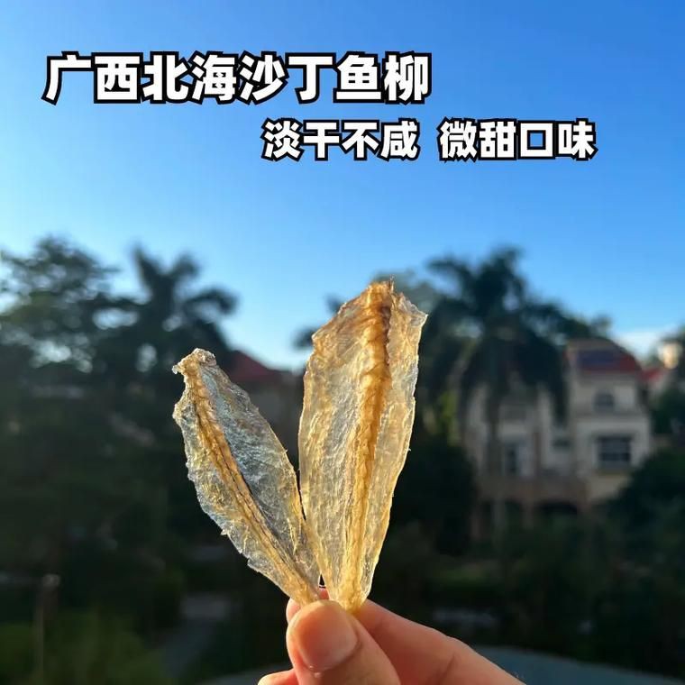 柳丁魚(yú)圖片大全，“柳丁魚(yú)圖片大全”聚焦于展示各類(lèi)柳丁魚(yú)的視覺(jué)影像資料