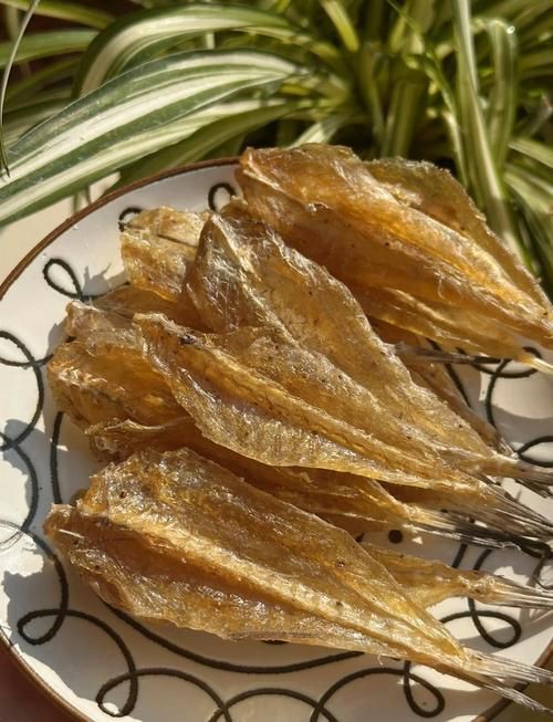 柳丁魚(yú)圖片大全，“柳丁魚(yú)圖片大全”聚焦于展示各類(lèi)柳丁魚(yú)的視覺(jué)影像資料