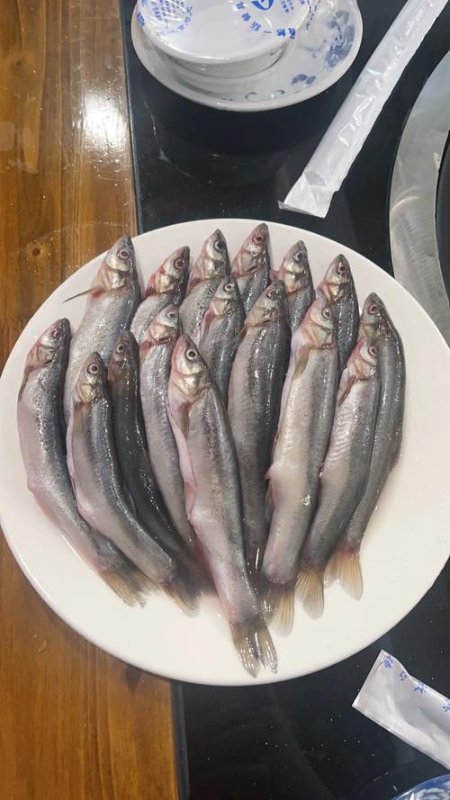 柳丁魚(yú)圖片大全，“柳丁魚(yú)圖片大全”聚焦于展示各類(lèi)柳丁魚(yú)的視覺(jué)影像資料