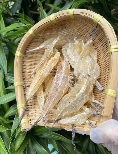 柳丁魚(yú)圖片大全，“柳丁魚(yú)圖片大全”聚焦于展示各類(lèi)柳丁魚(yú)的視覺(jué)影像資料
