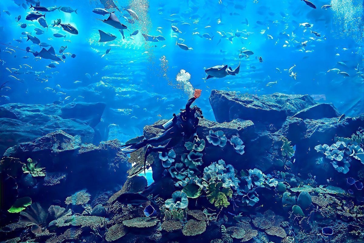 淮南水族館，探秘淮南水族館