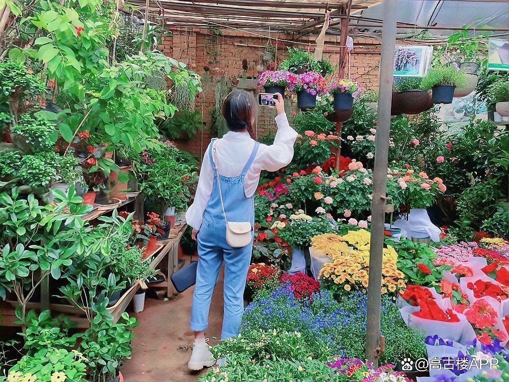 玉溪水族店，玉溪市紅塔區頤神苑水族店
