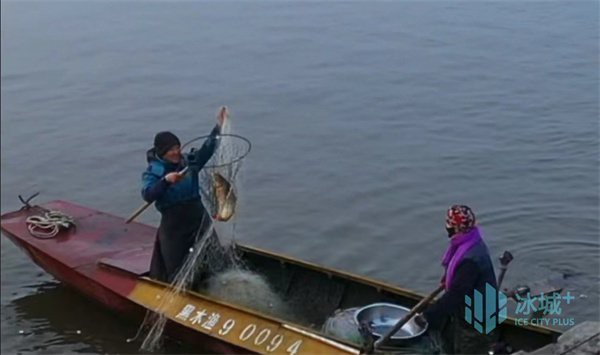 巴彥龍魚店，“巴彥龍魚店”聚焦于龍魚及相關水族寵物的銷售與服務
