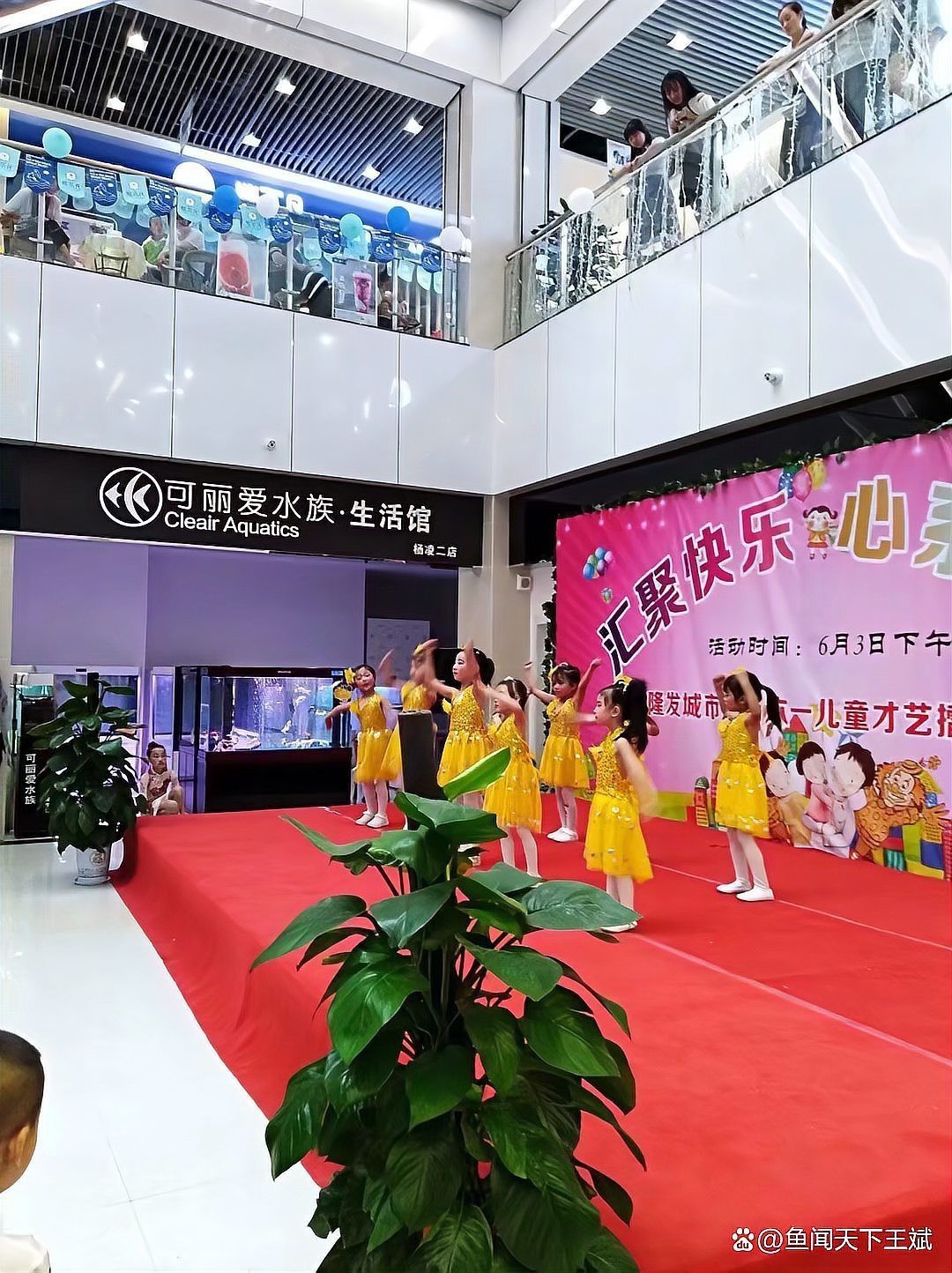 水城水族店，聊城七彩水族實體店\