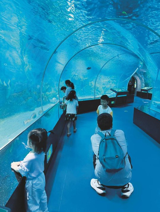 水城水族店，聊城七彩水族實體店\