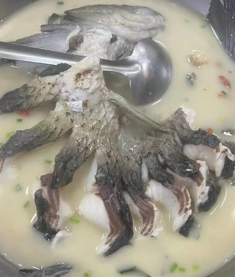 開化龍魚店，開化龍魚店如何選址