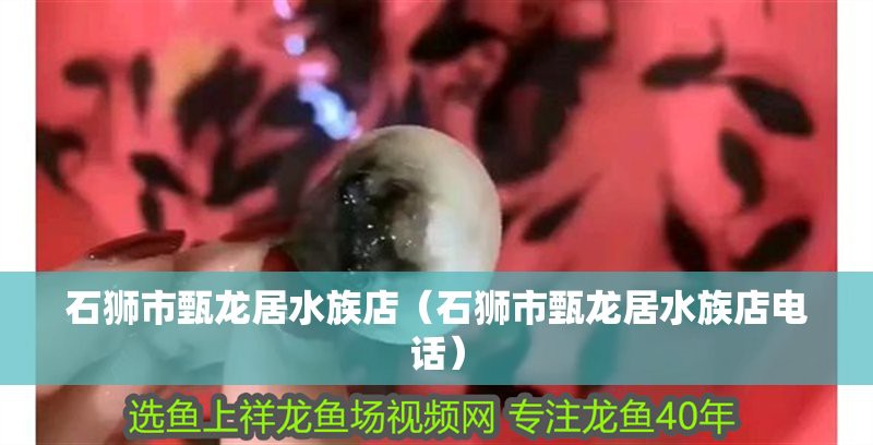 泉州龍魚店，泉州經濟技術開發區龍魚之家水族館