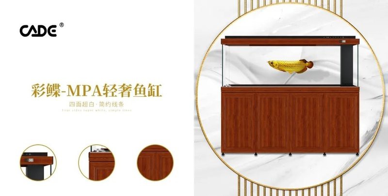 崇川水族店，南通城南滿意水族館