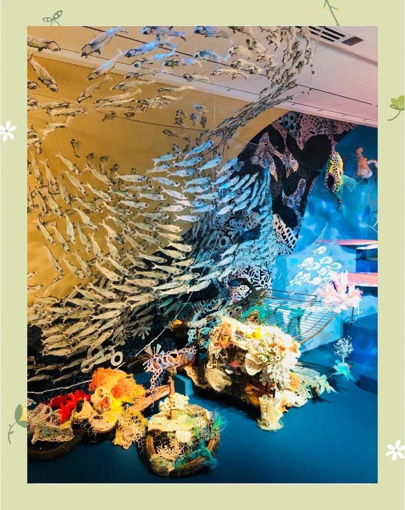 哪些工具可能間接影響海龍魚(yú)生存？，人類(lèi)活動(dòng)會(huì)對(duì)海洋產(chǎn)生什么影響