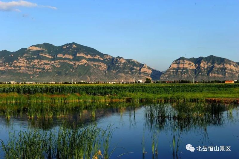 恒山龍魚(yú)店，山西唯一的“國(guó)山”:恒山龍魚(yú)店恒山龍魚(yú)店 恒山龍魚(yú)店，山西唯一的“國(guó)山”:恒山龍魚(yú)店恒山龍魚(yú)店 全國(guó)水族館企業(yè)名錄 第1張